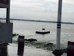 广东今日关注爆料电话,揭秘爆料热线背后的故事  第3张